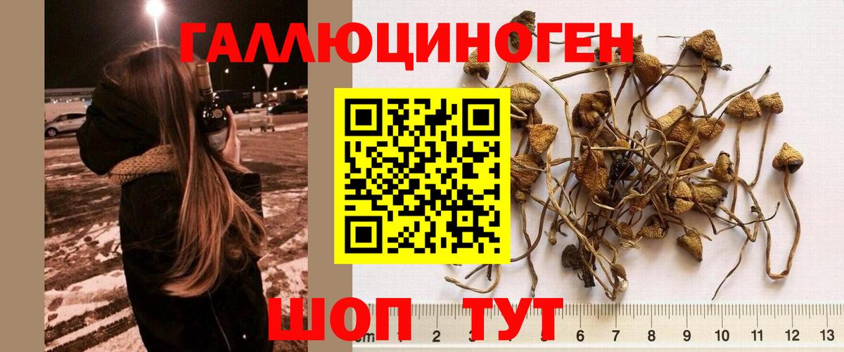 дарнет шоп  Галлюциногенные грибы Cubensis  Вход с VPN  Озёры 