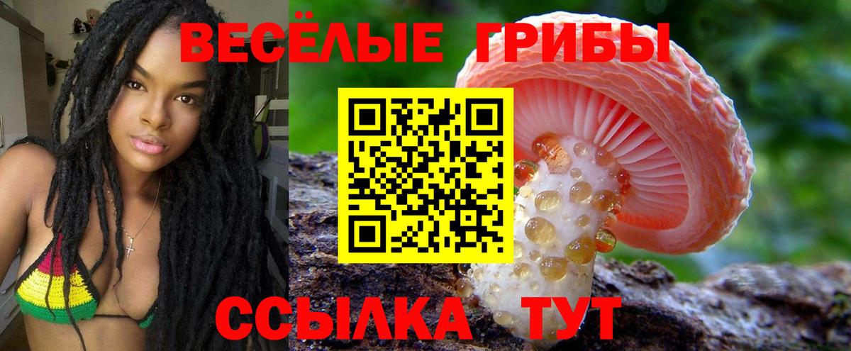 Псилоцибиновые грибы мухоморы Озёры